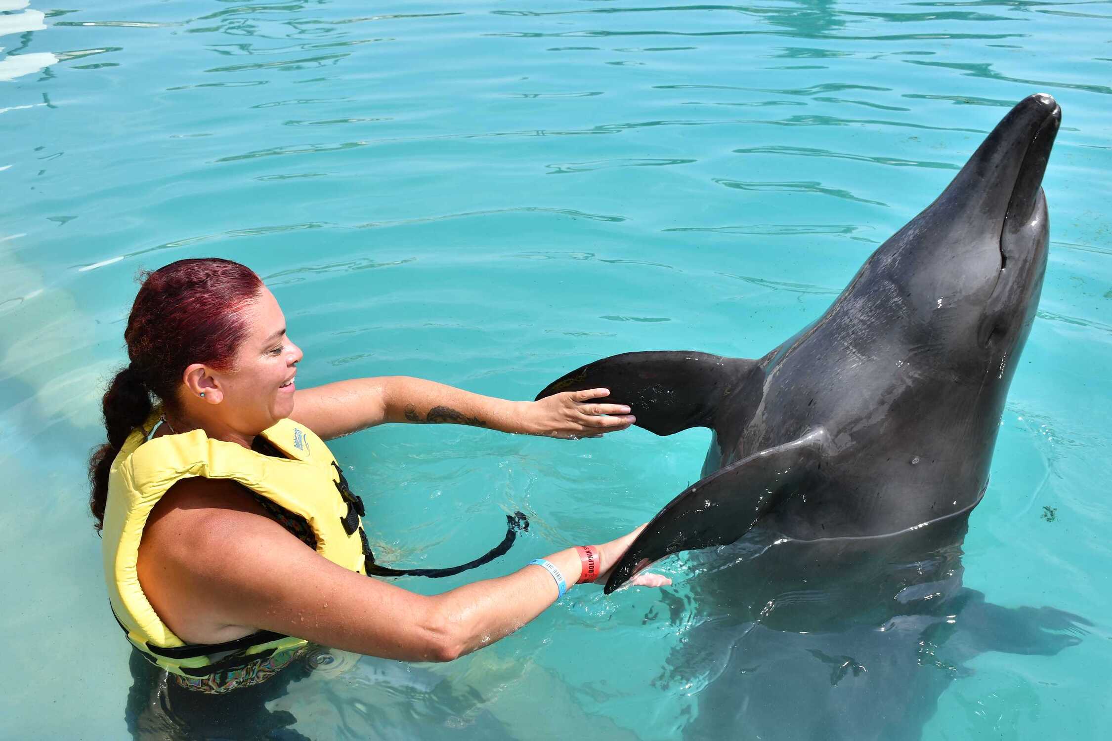 Nado de delfines en Cancún