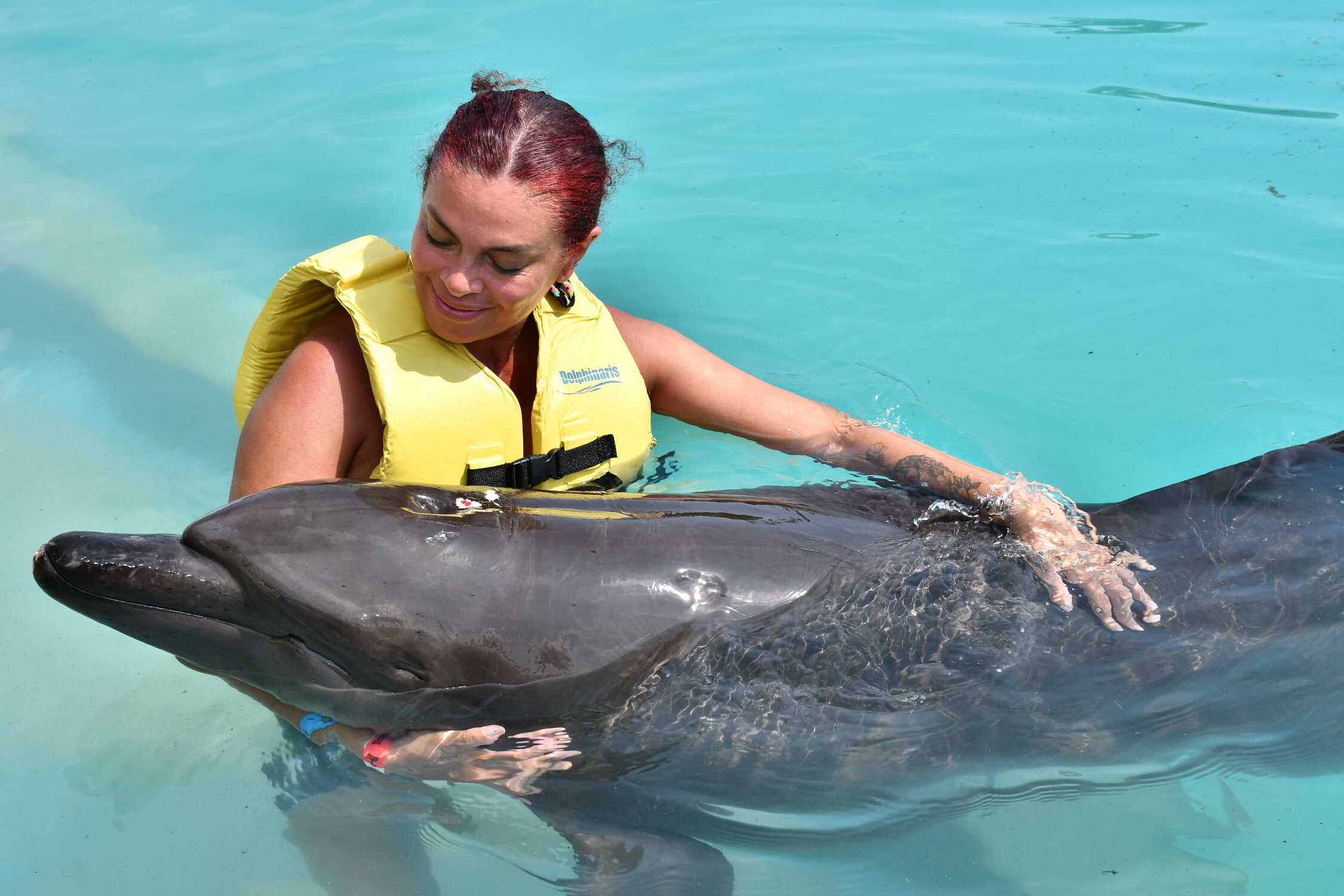 Nado de delfines en Cancún