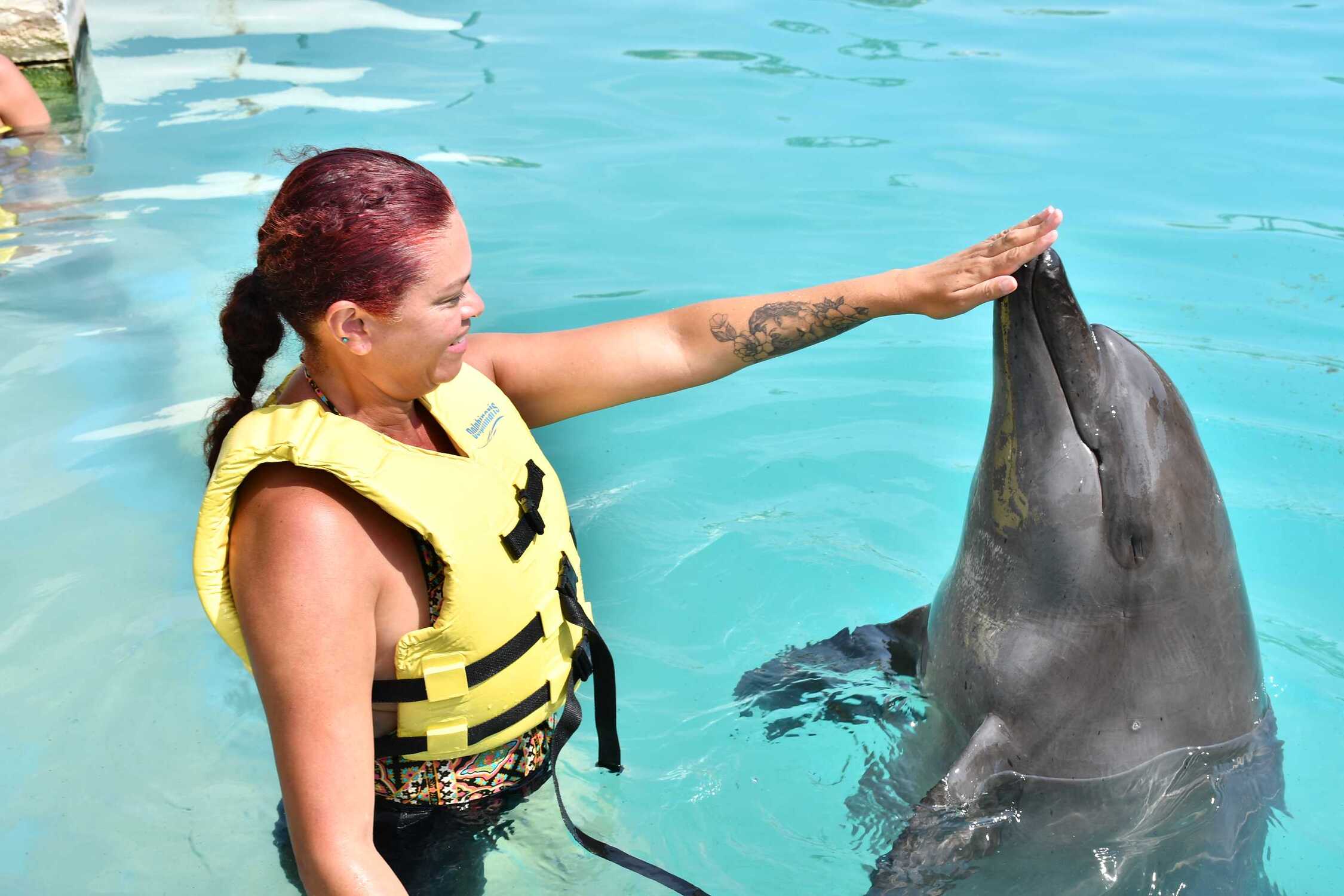 Nado de delfines en Cancún