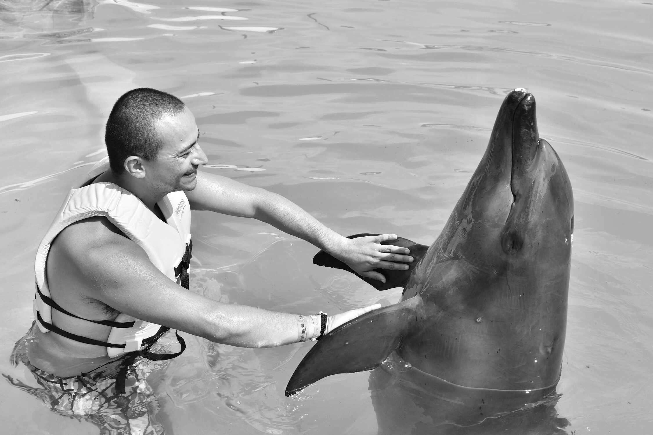 Nado de delfines en Cancún