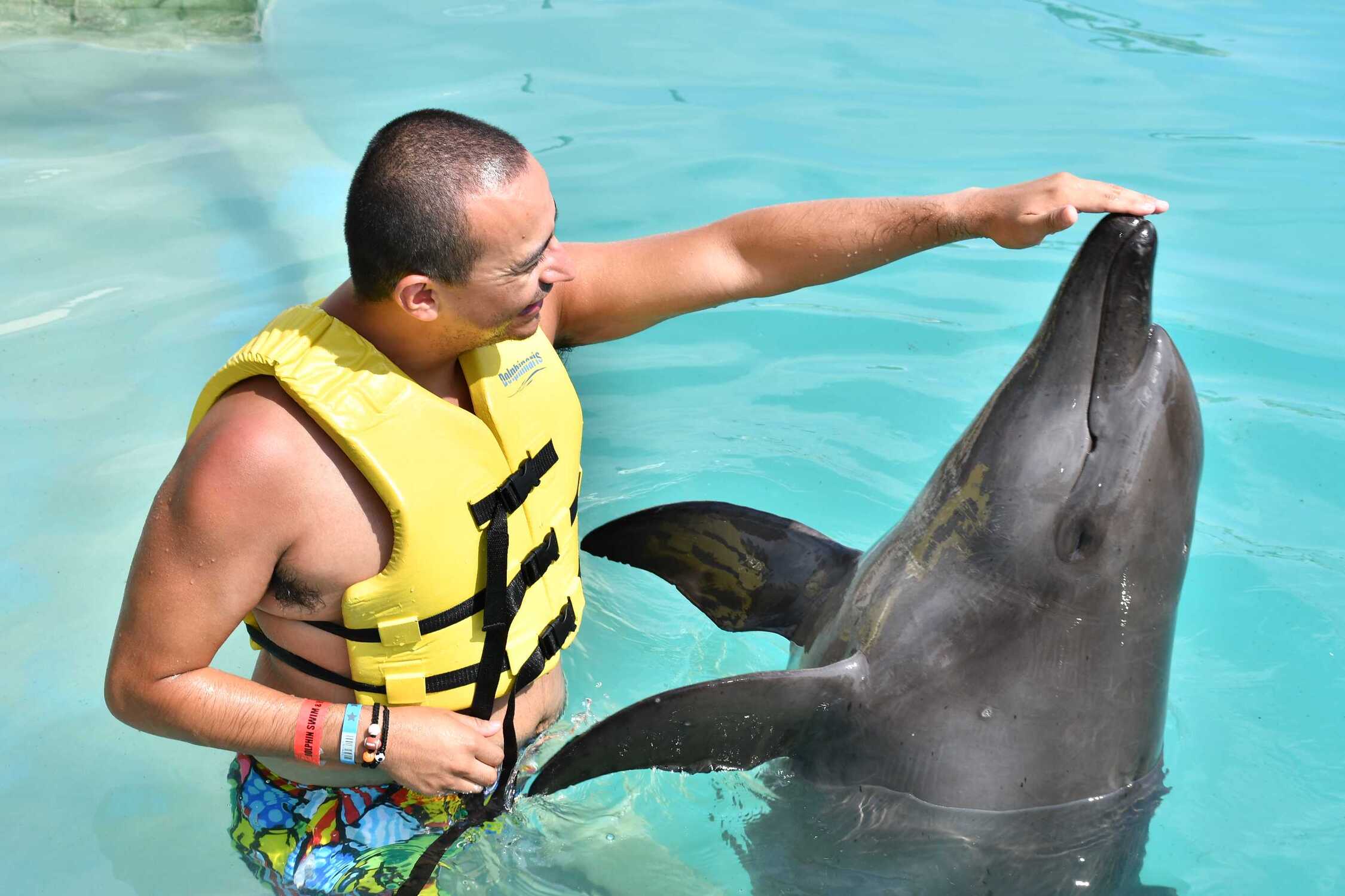 Nado de delfines en Cancún