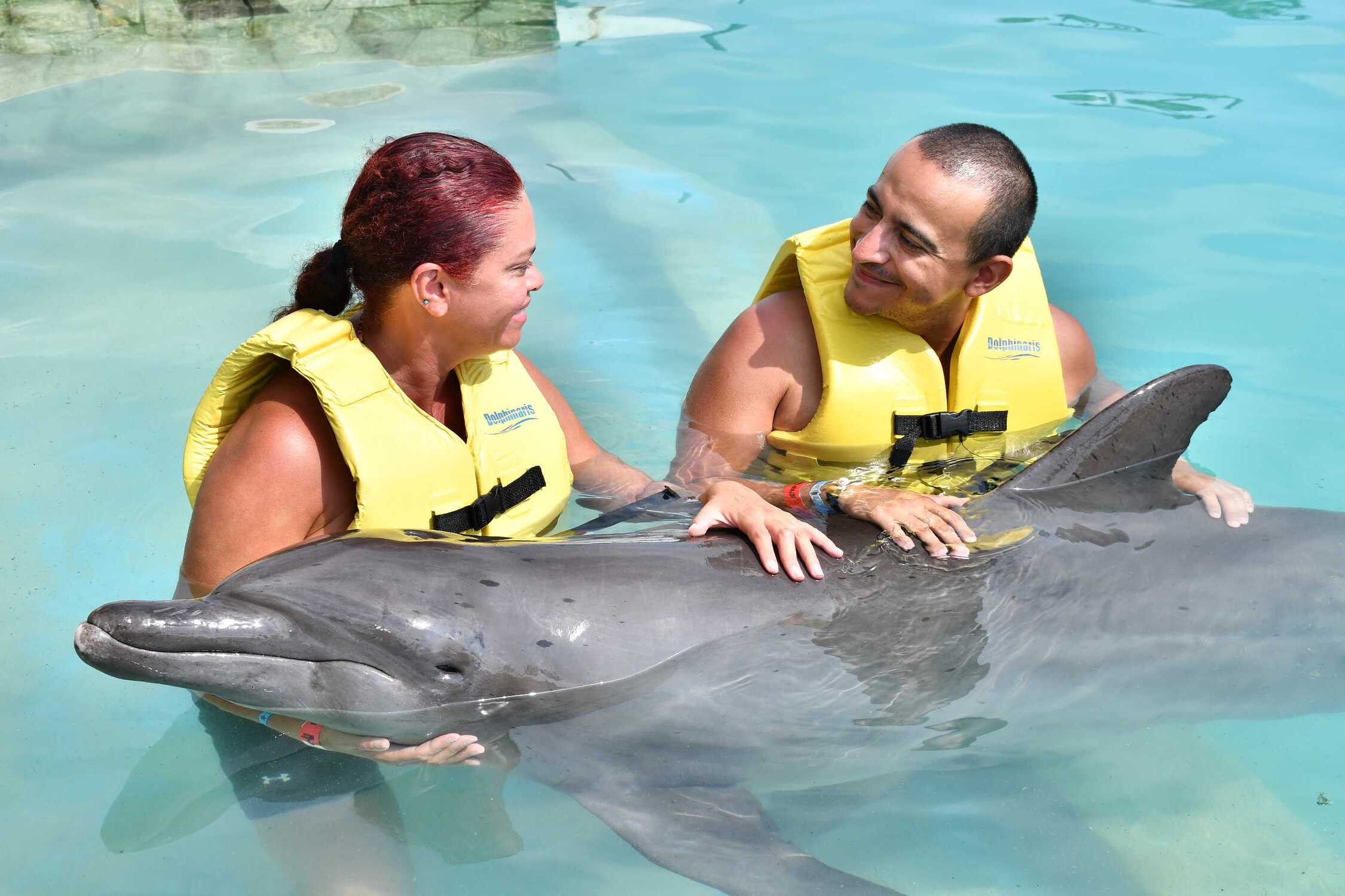 Nado de delfines en Cancún