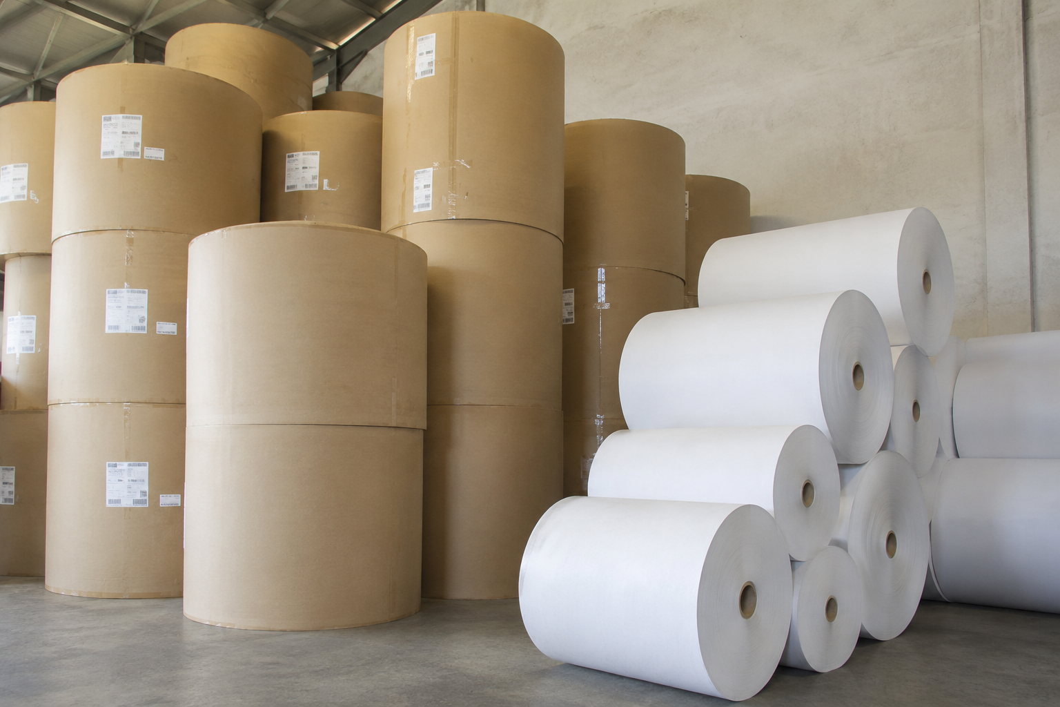 Kraft Paper Roll & Duplex Paper Roll