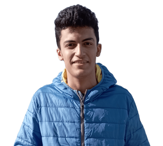 Head of Web Committee