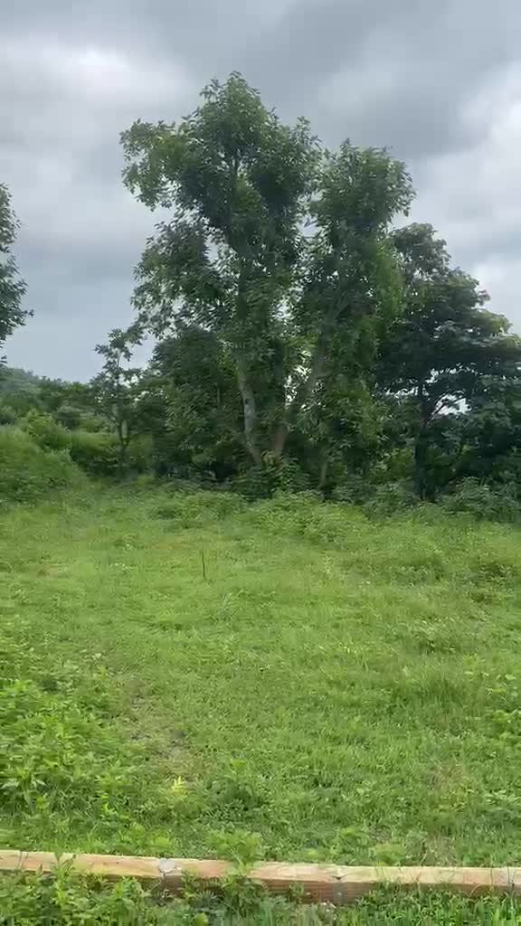 400 Gaj Plot
