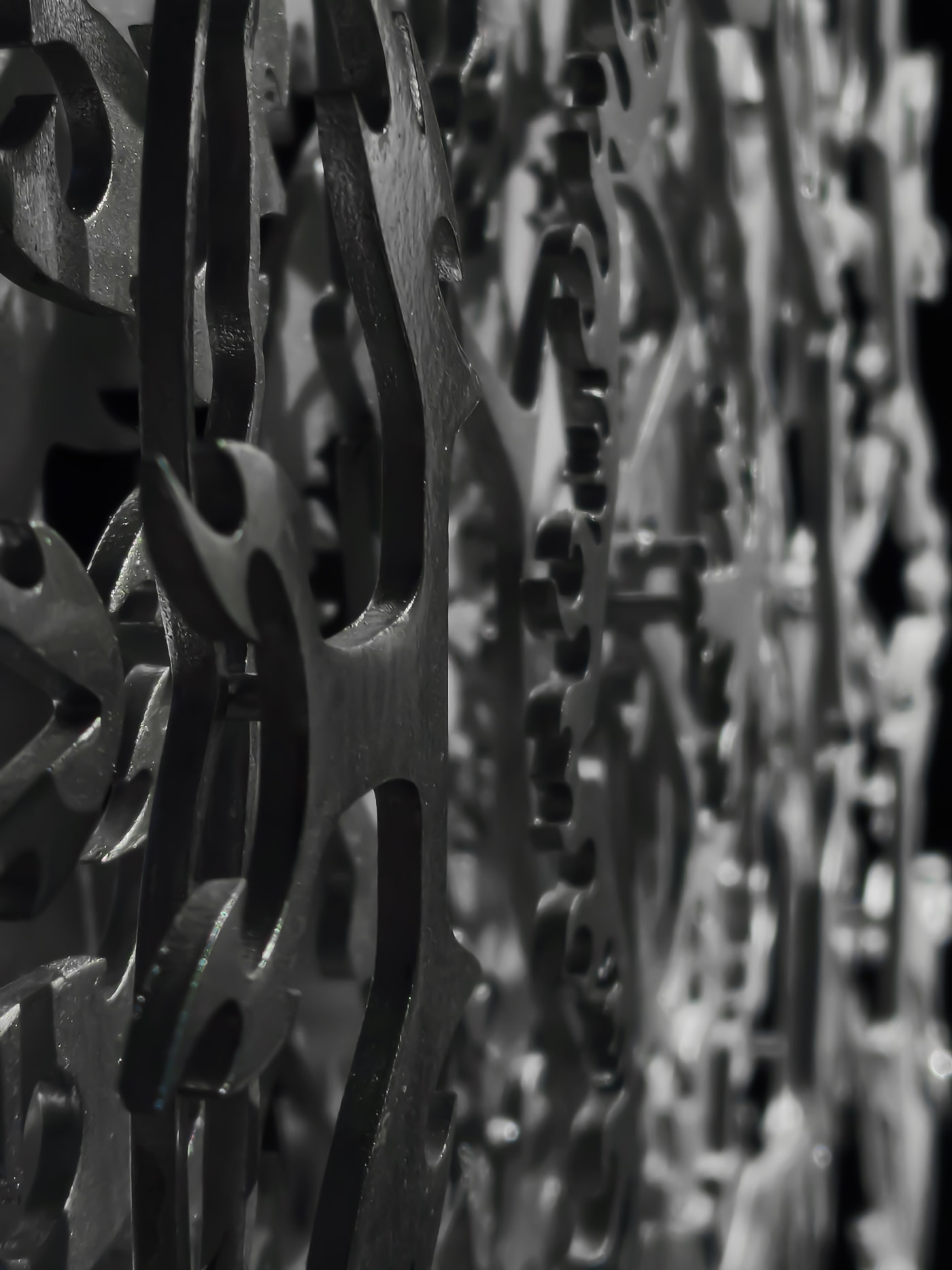 ASTROFLEUR: detail.