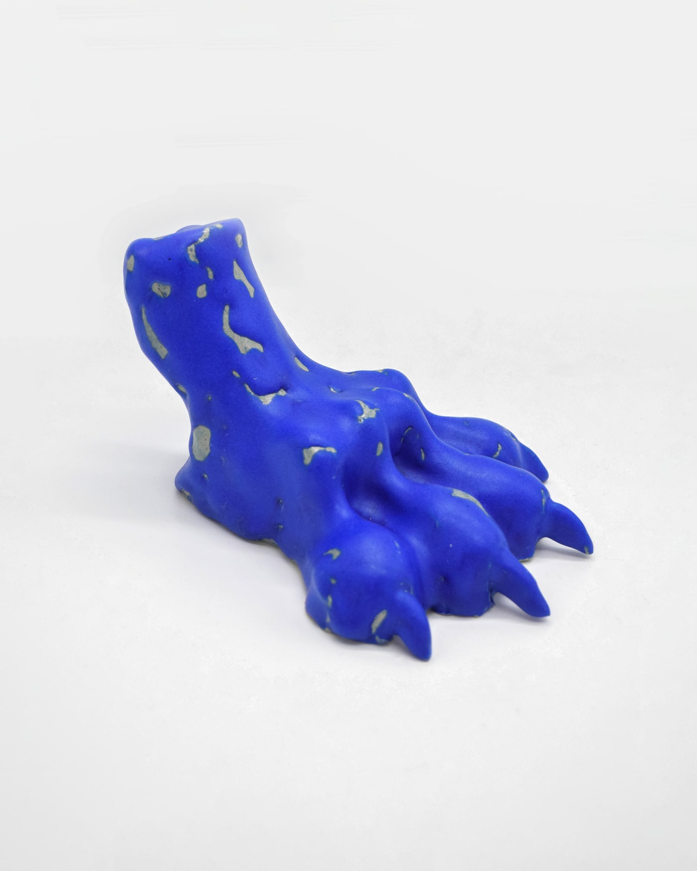 BLUE PAW: view 01.