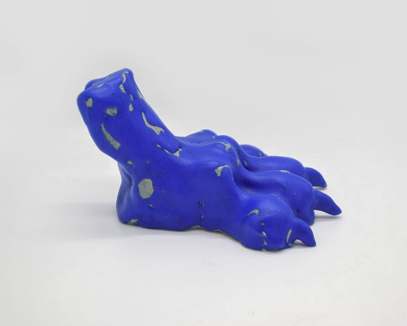 BLUE PAW: view 03.