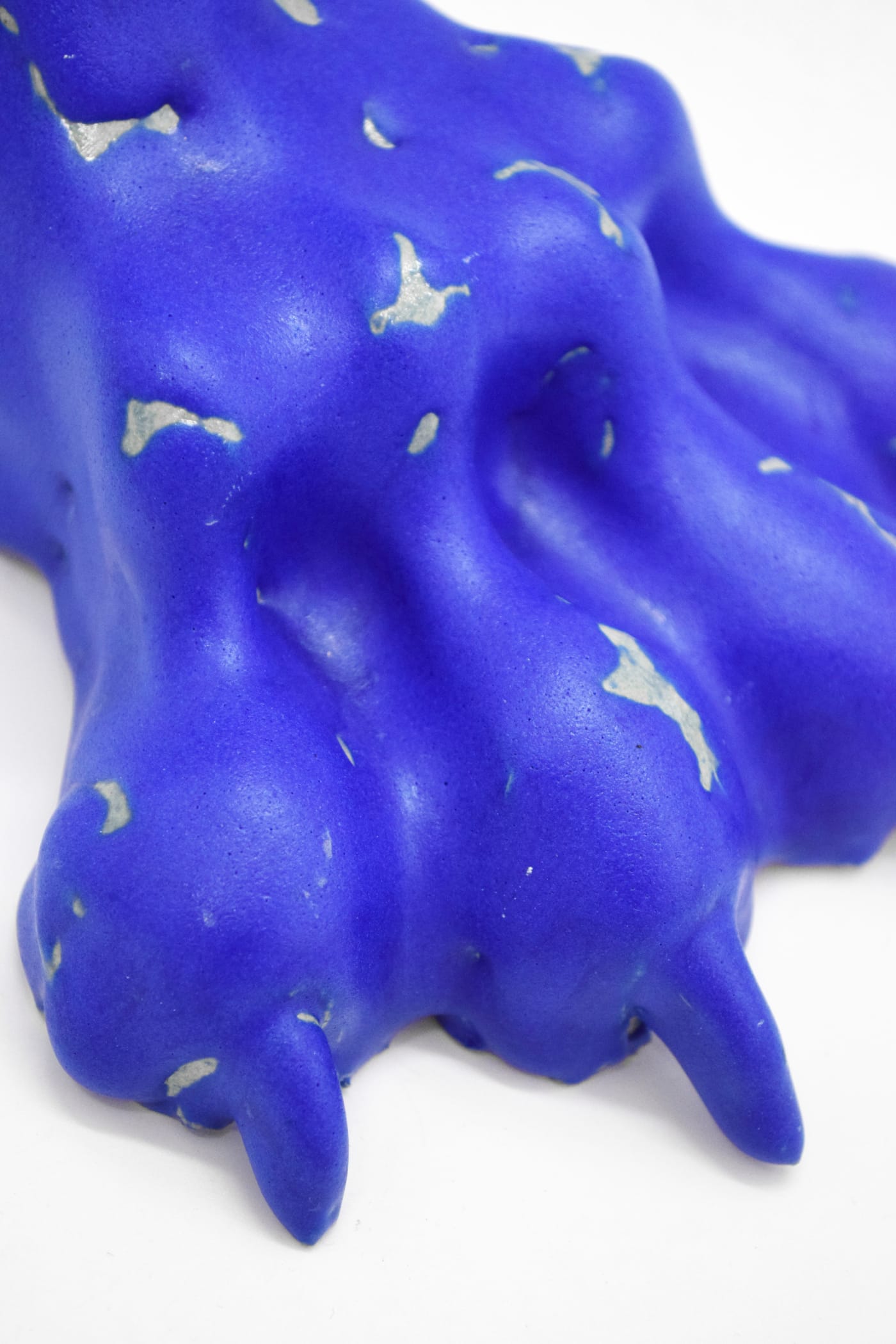 BLUE PAW: view 04.