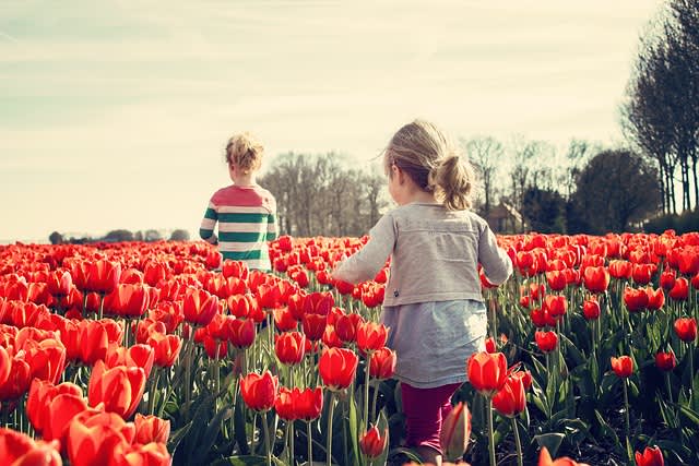 girls-739071_640 Children playing in fields of tulips as an image for our professional Dutch translations page