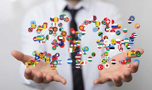 professional translation services