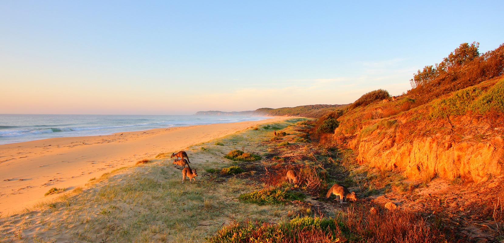 Australia by If Only…