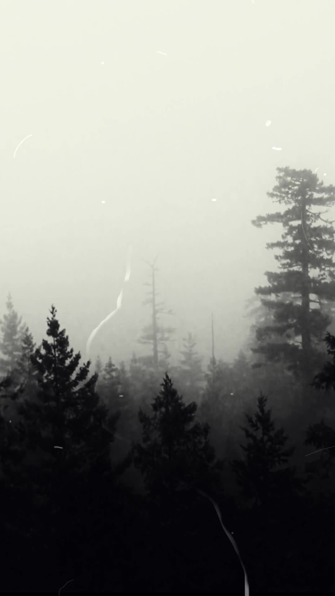 Veejoux 3 · Noir video thumbnail