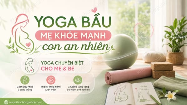 Khóa Học Yoga Bầu - Mẹ Khỏe Mạnh, Con An Nhiên