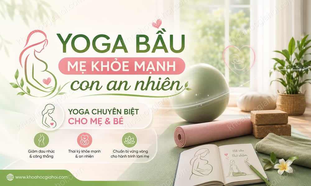 Khóa Học Yoga Bầu - Mẹ Khỏe Mạnh, Con An Nhiên