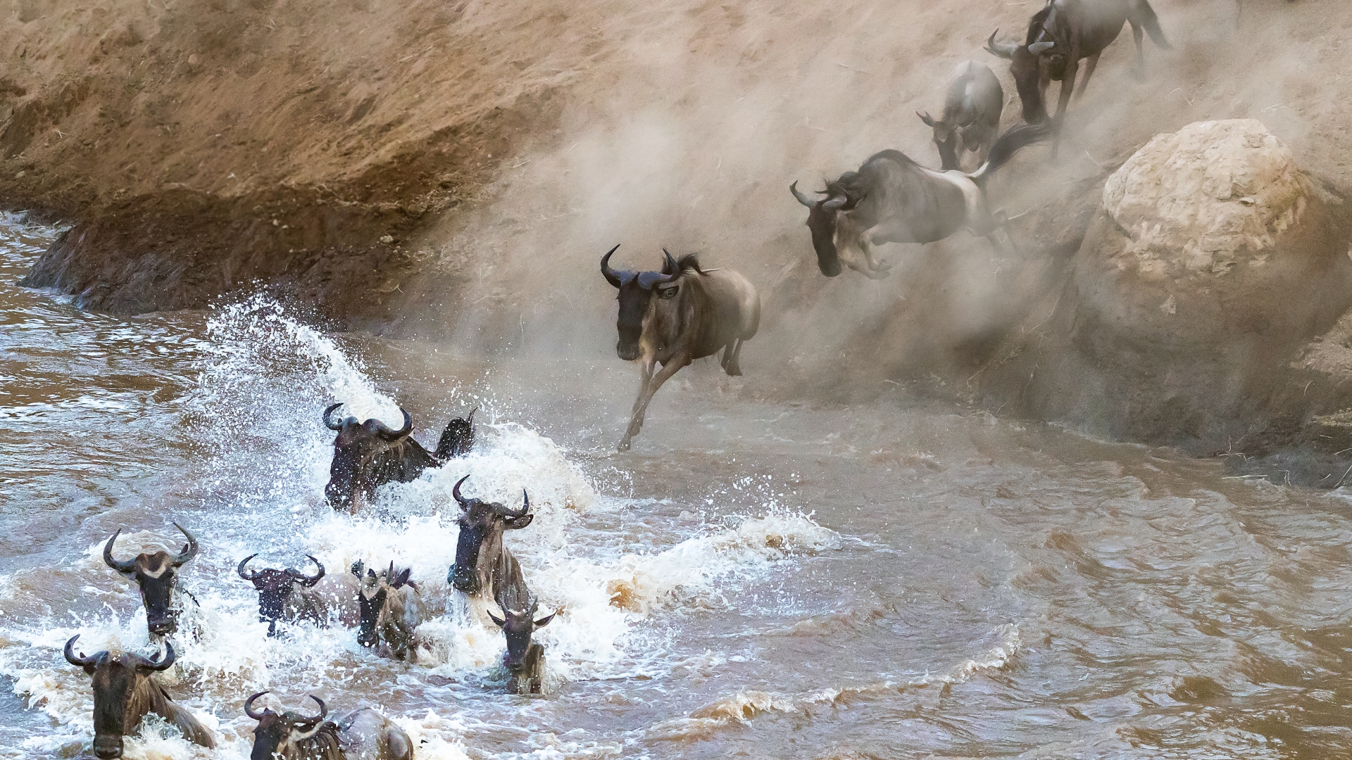 Great Migration safari across the Serengeti plains
