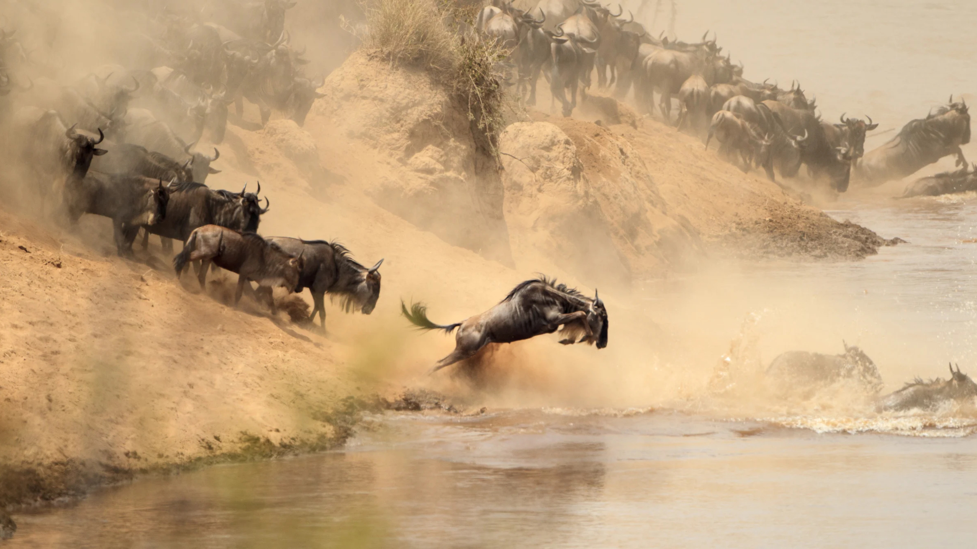 Serengeti National Park, Tanzania