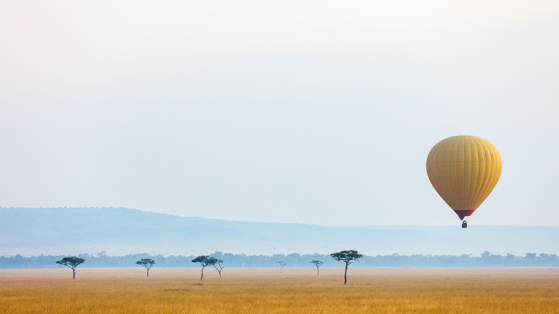 The Ultimate Sabi Sand Big Five