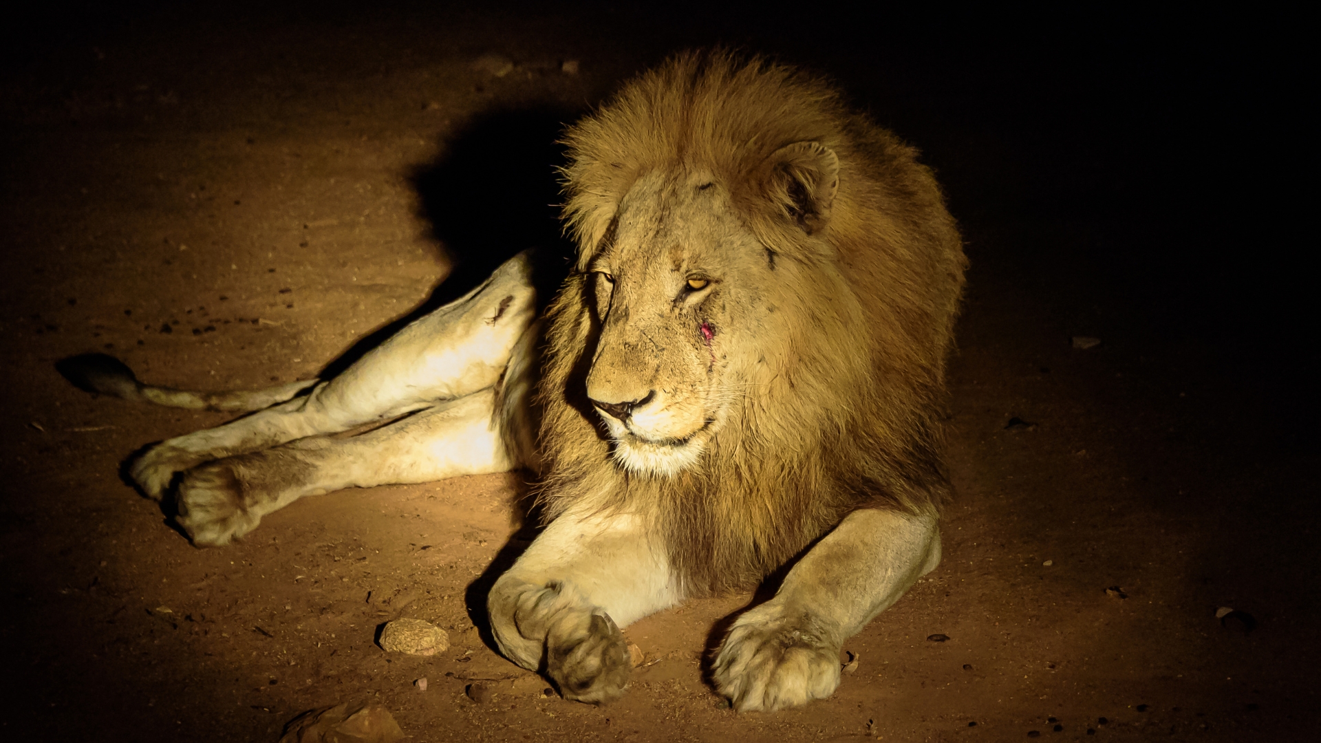 Northern Tanzania & Ngorongoro Crater
