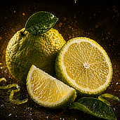 Bergamota