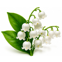 Hydroxycitronellal