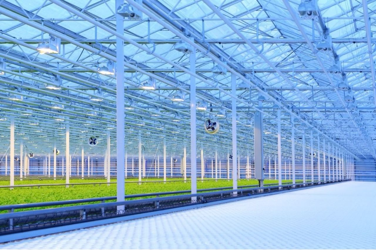 Aurora Sky