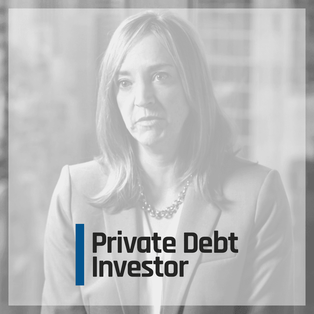 Shedlight Creative for PDI