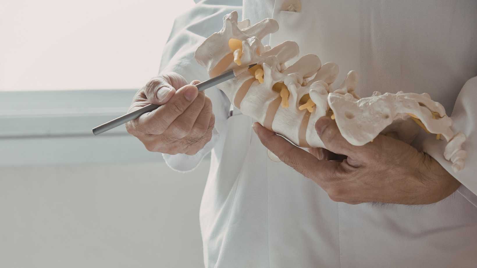 The Science of Chiropractic. 5280 Chiropractic