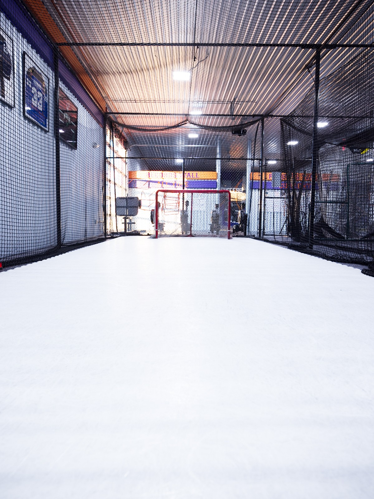 Synthetic Ice