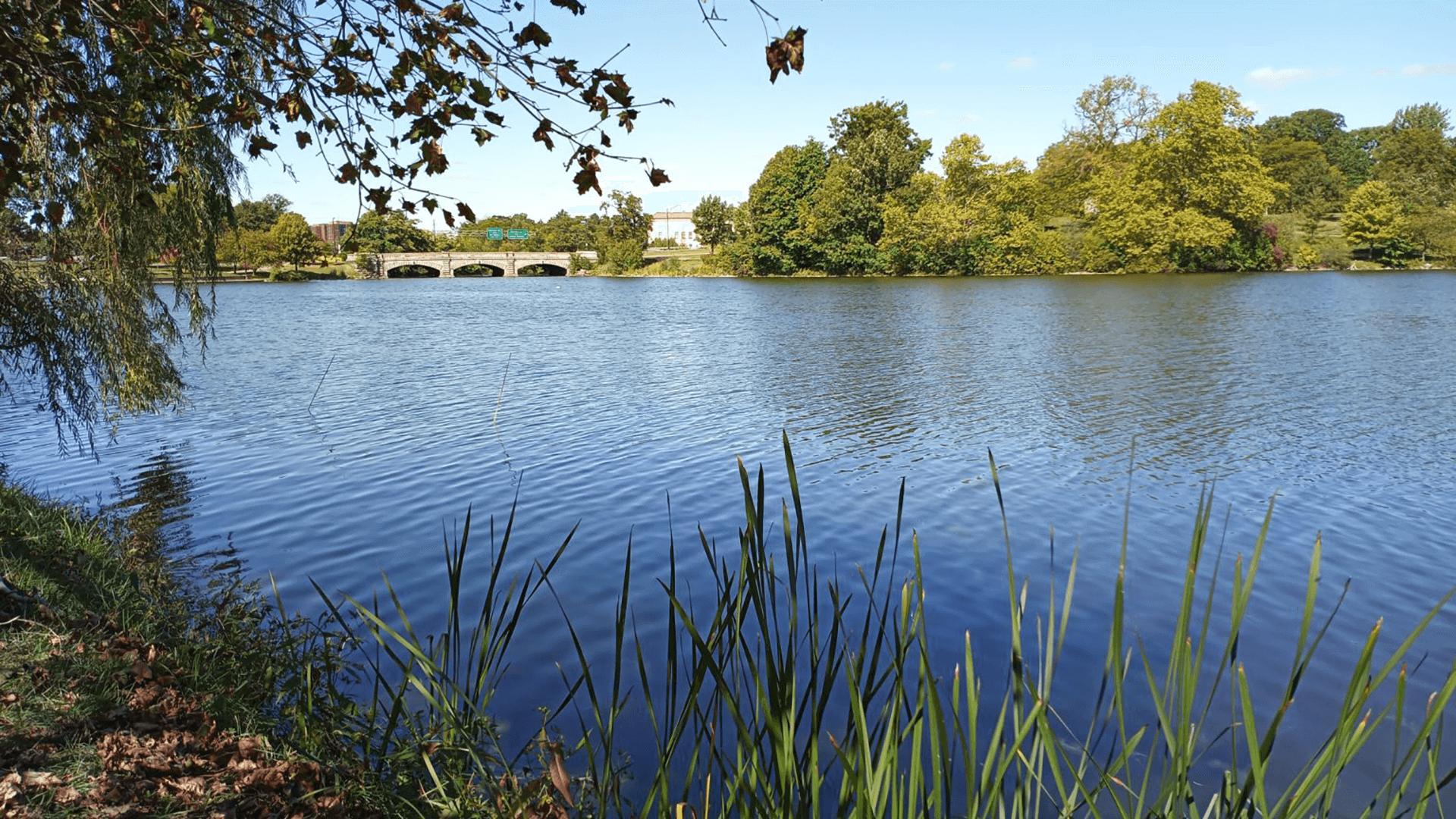 Reclaiming the Scajaquada Creek Corridor | Part 1 of 4