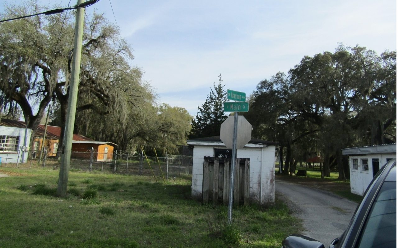 325 W MAIN STREET (& 343), MAYO, FL 32066 Missy Zecher Remax