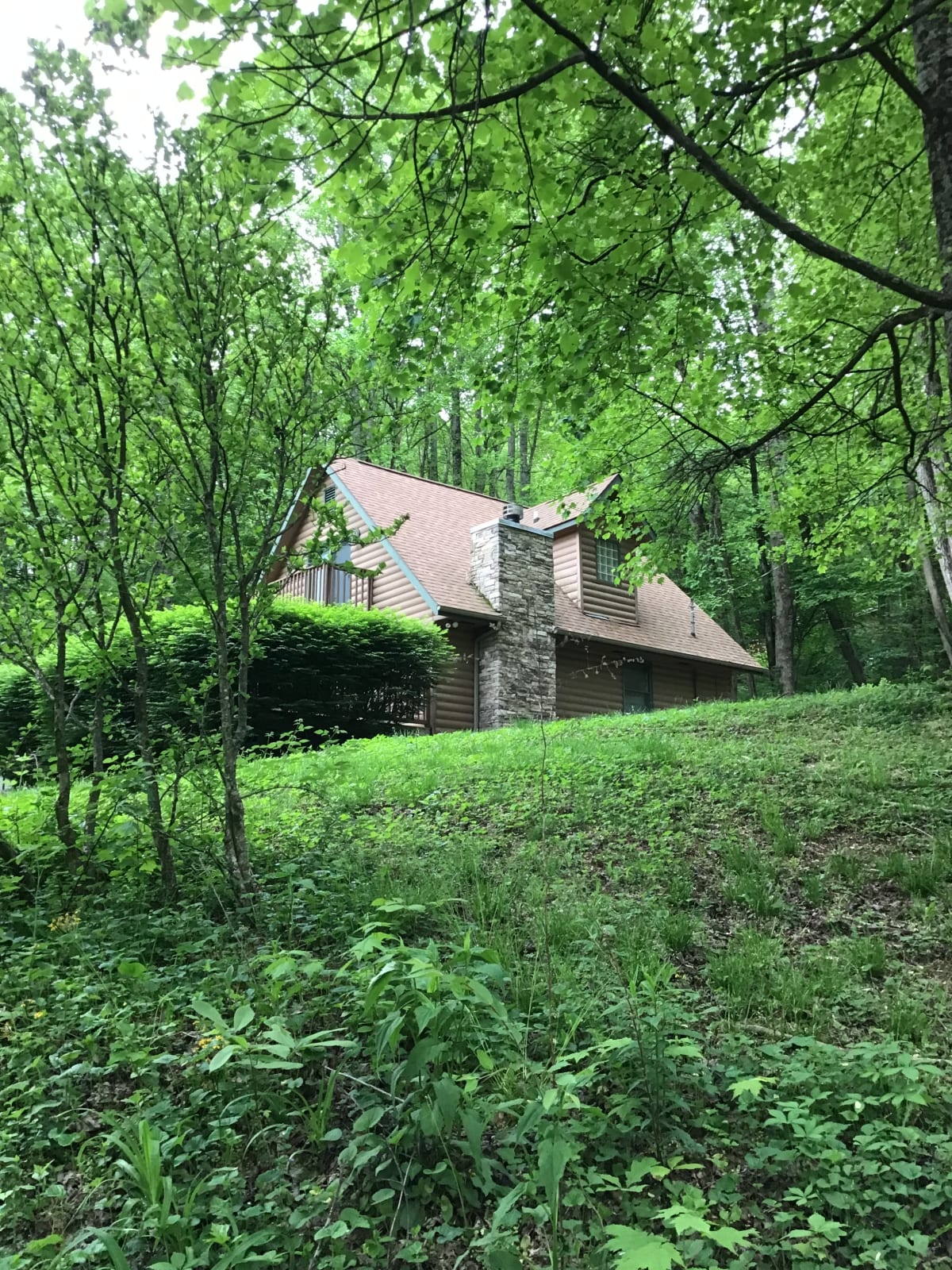 1885 Mauney Cove Rd, Waynesville, NC 28786 MLS 21060149 IDX Real