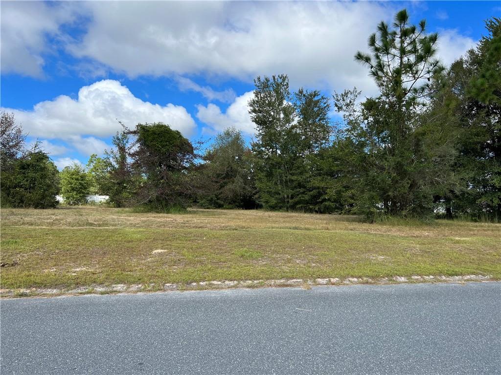 Lot 6 Saddle Circle