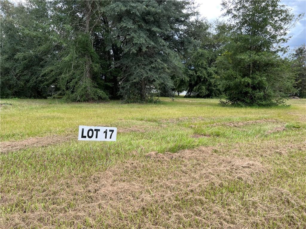 Lot 17 Saddle Circle