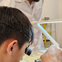 Daniel Tay photo 1