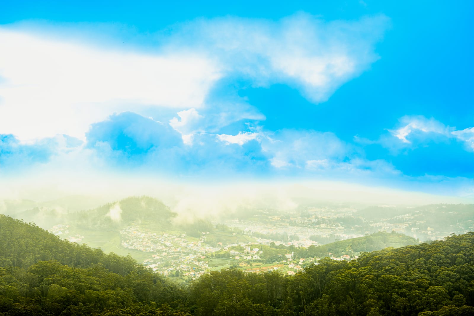 Landscapes