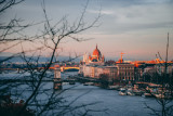 Interim results of IIB operations after its relocation to Europe: the Bank enhances its lending and investment activities in the interest of member states