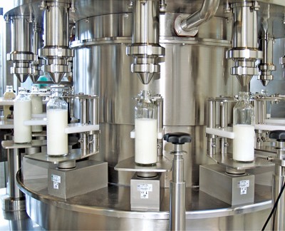 First joint project of IIB and BSTDB – production of dairy products in European Union