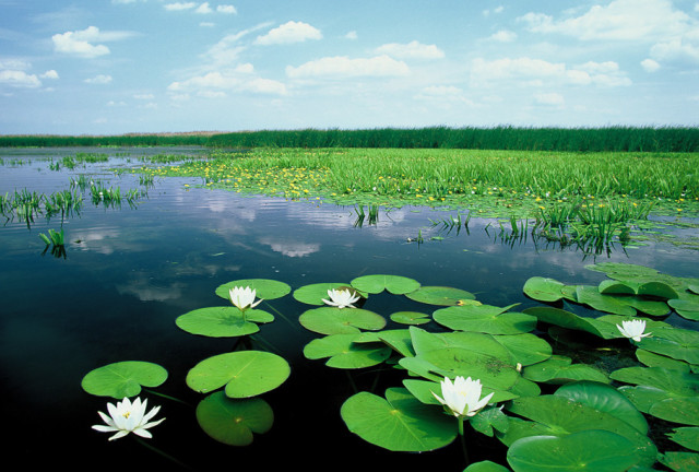 A press conference held in Budapest announced the launch of a transnational environmental project “CLEAN WATER. HAPPY TISZA” supported by IIB  