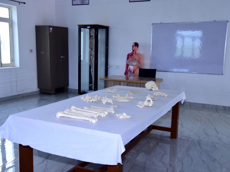 Anatomy Lab photograph 5