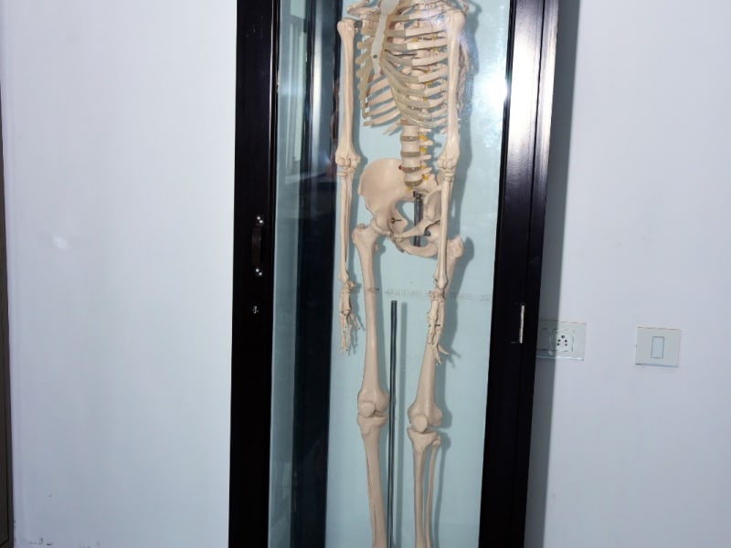 Anatomy Lab photograph 4