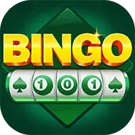 Bingo 101