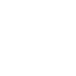 QualitySystCert_ISO9001 wit.png