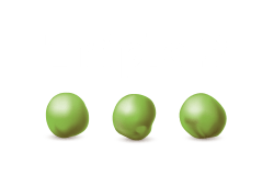 Triple P - Logo2