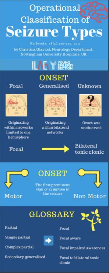 [Infographic] Operational Classification of Seizure Types | TBI