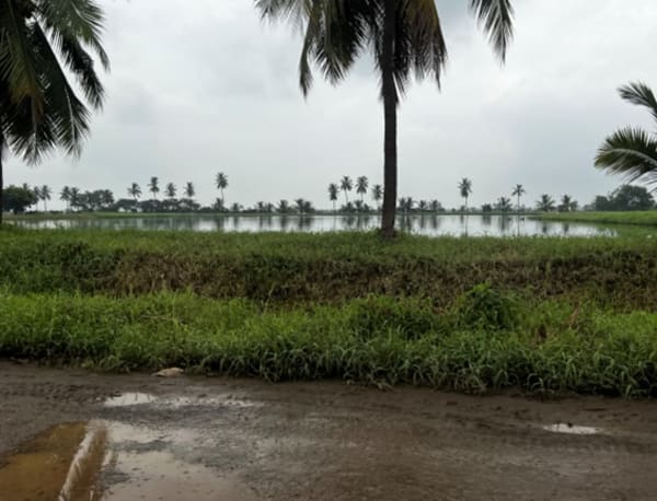 Newswise: Como puede la atencion primaria de salud ayudar a cerrar la brecha en el tratamiento de la epilepsia? Un viaje por Andhra Pradesh, India