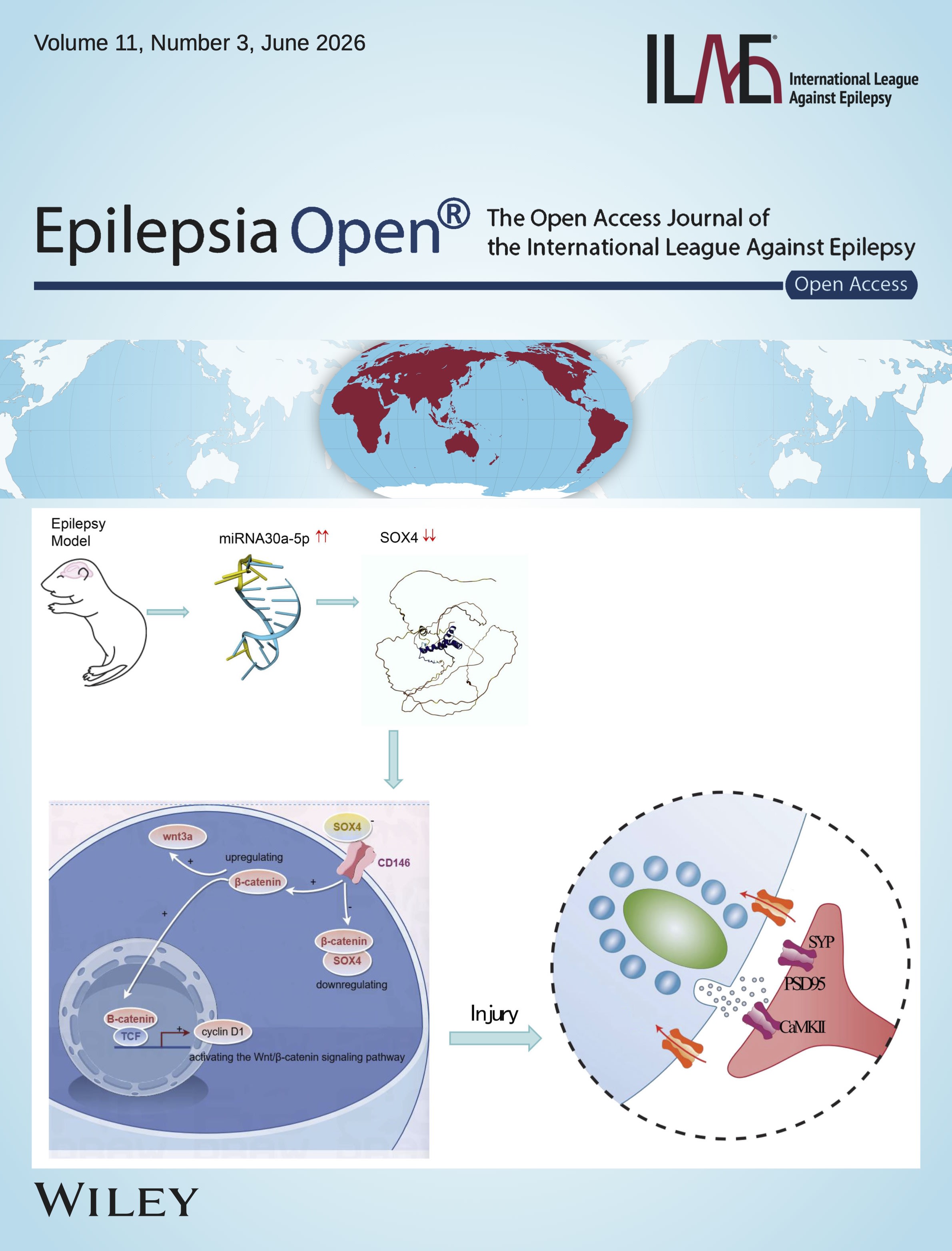 Volume 11, Issue 3, June 2026
ILAE
International League Against Epilepsy
Epilepsia Open®
The Open Access Journal of the International League Against Epilepsy
Open Access
WILEY