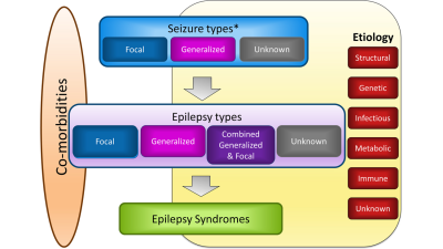 Seizure Classification Chart