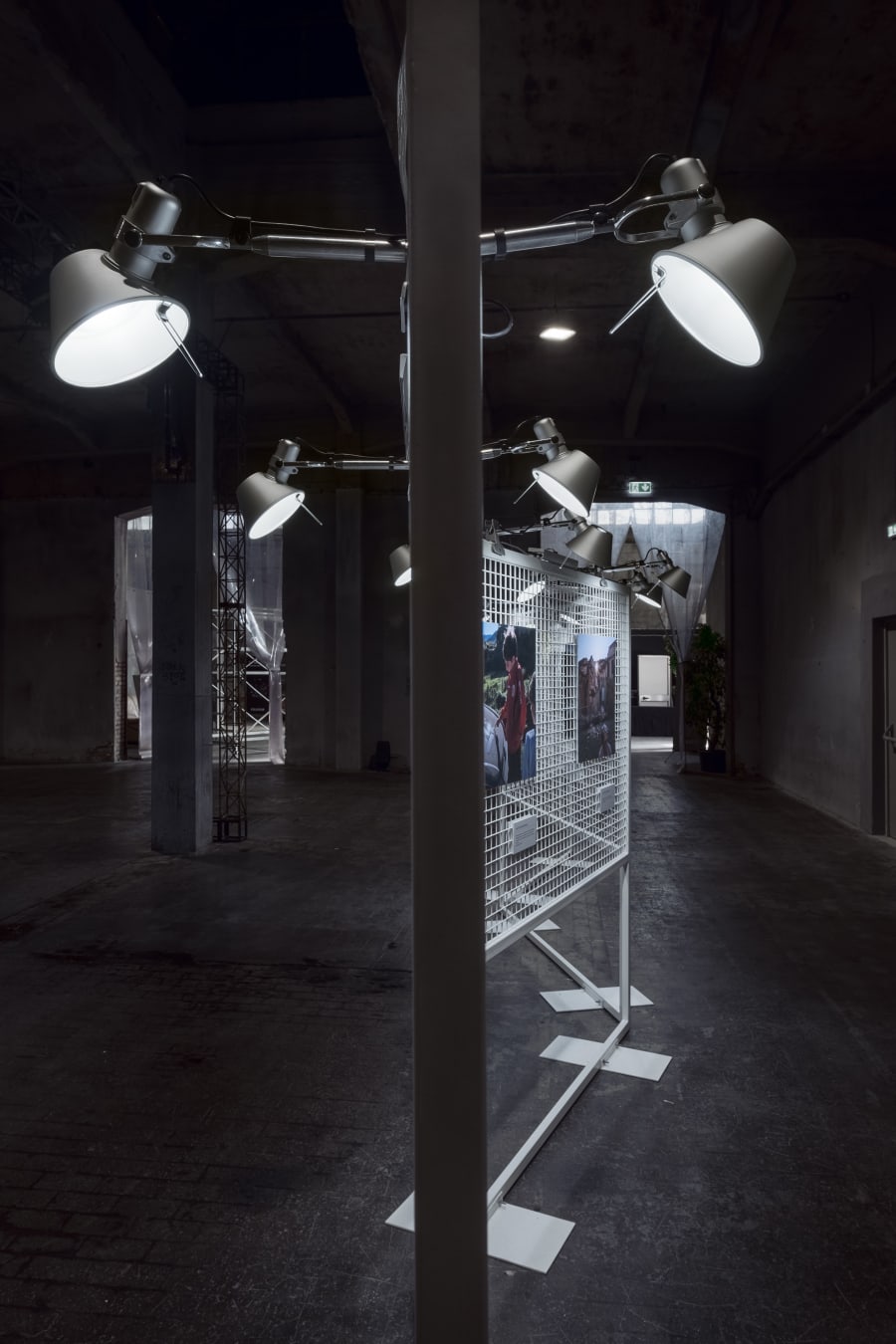 Tolomeo, Artemide