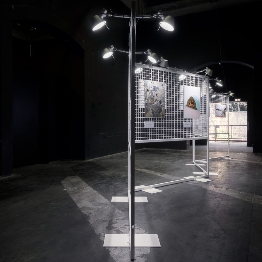 Tolomeo, Artemide